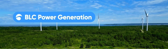 BLC GLOBAL 2026